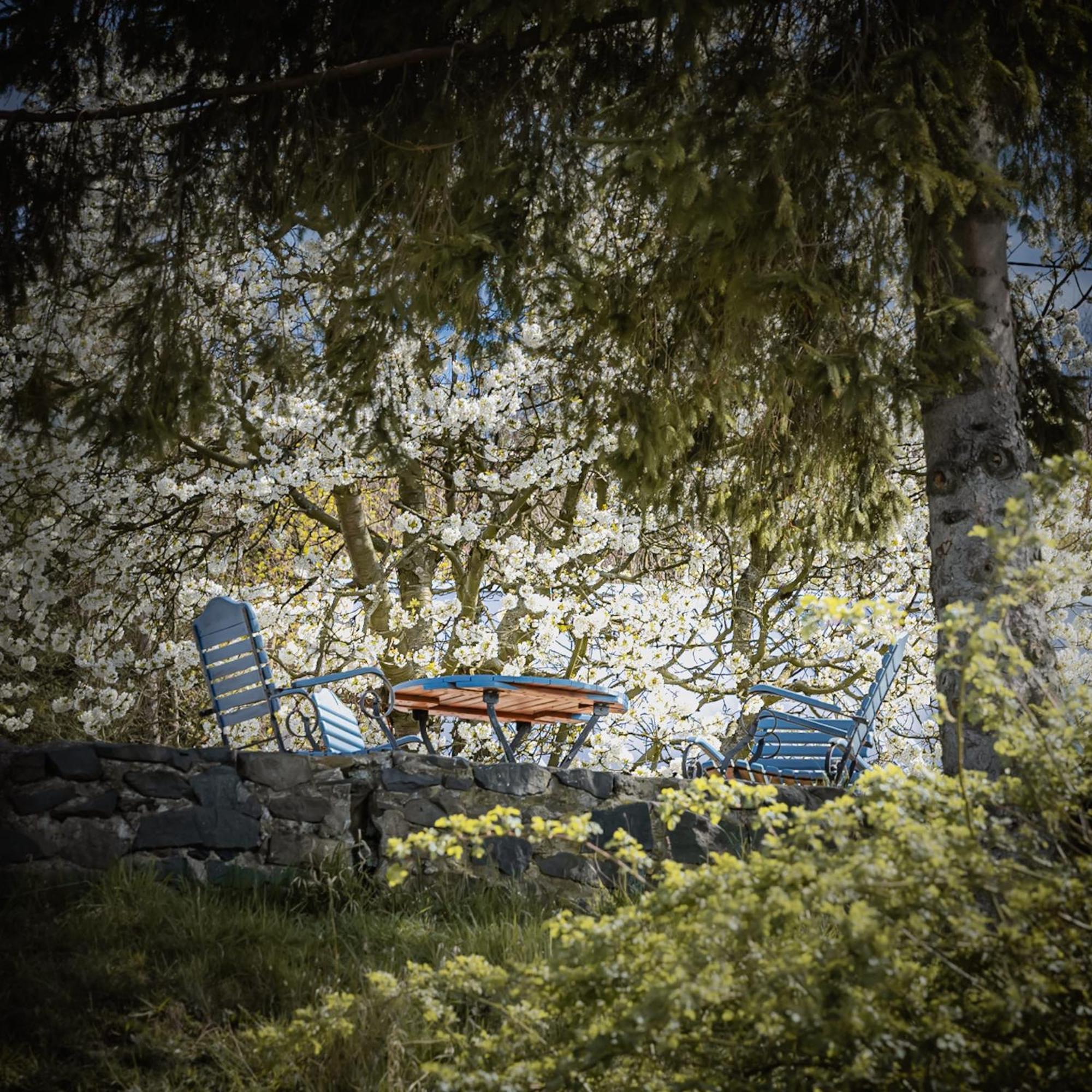 Bed & Breakfast Dom Krawca,schneiderbaude